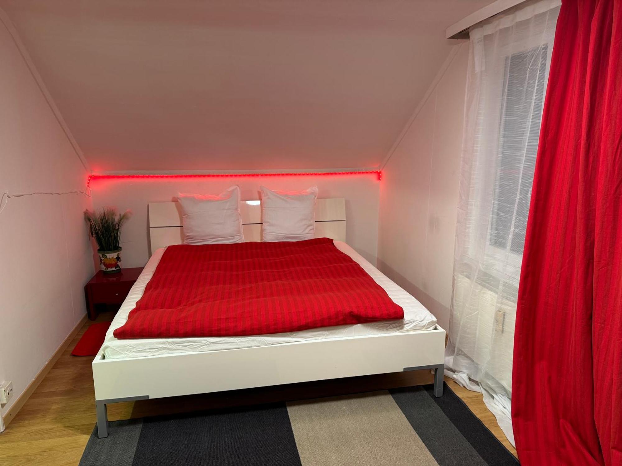 Nice Apartment St. Gallen Bagian luar foto