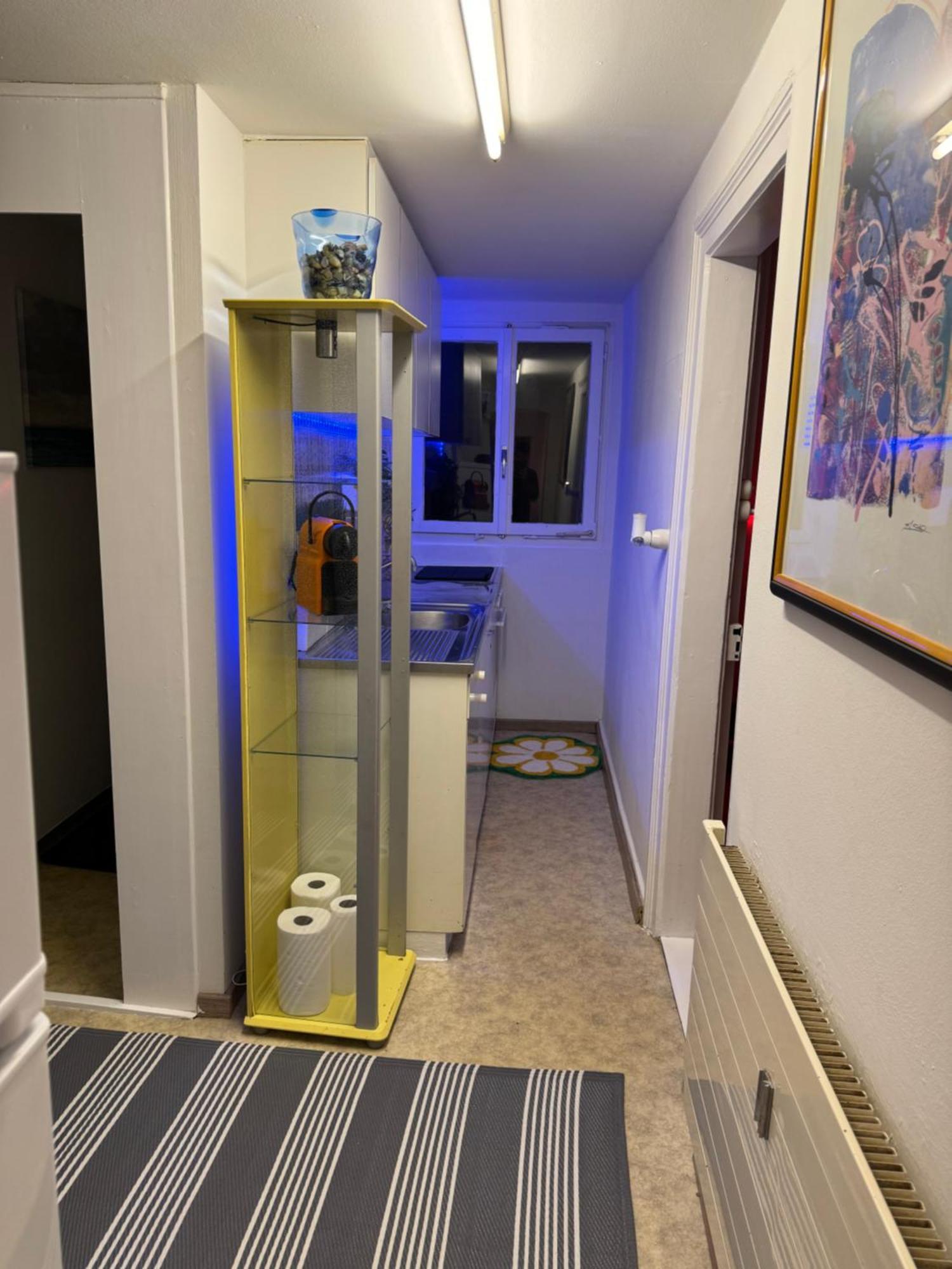 Nice Apartment St. Gallen Bagian luar foto
