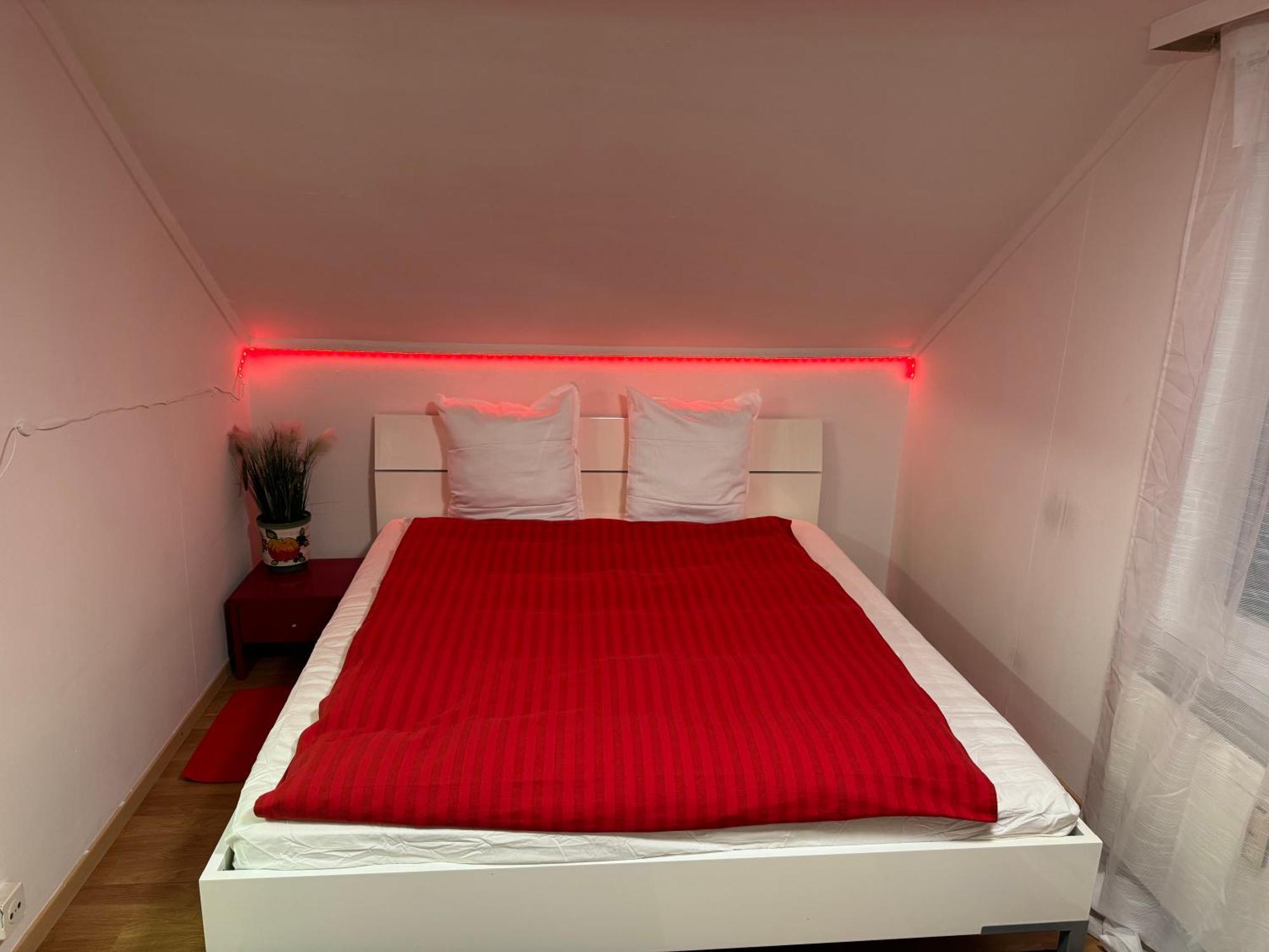 Nice Apartment St. Gallen Bagian luar foto